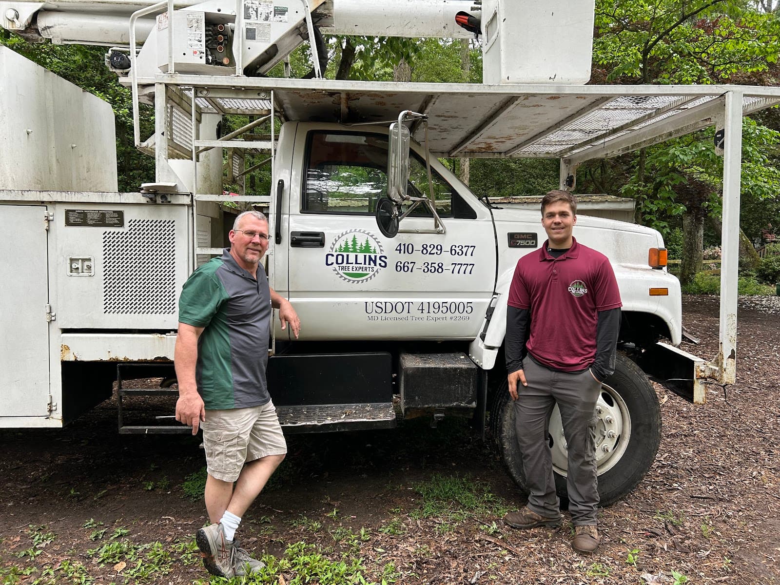 Collins Tree Experts