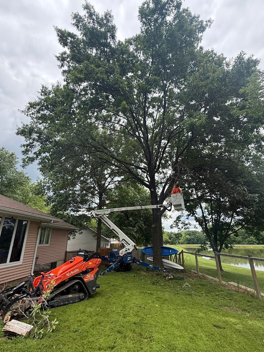 All Seasons Tree Care