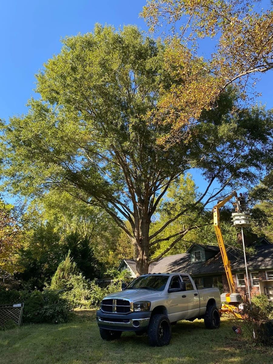 Tri cities yard & deck solutions