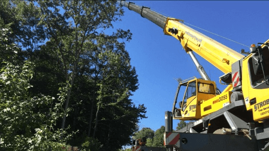 Strobert Tree Services