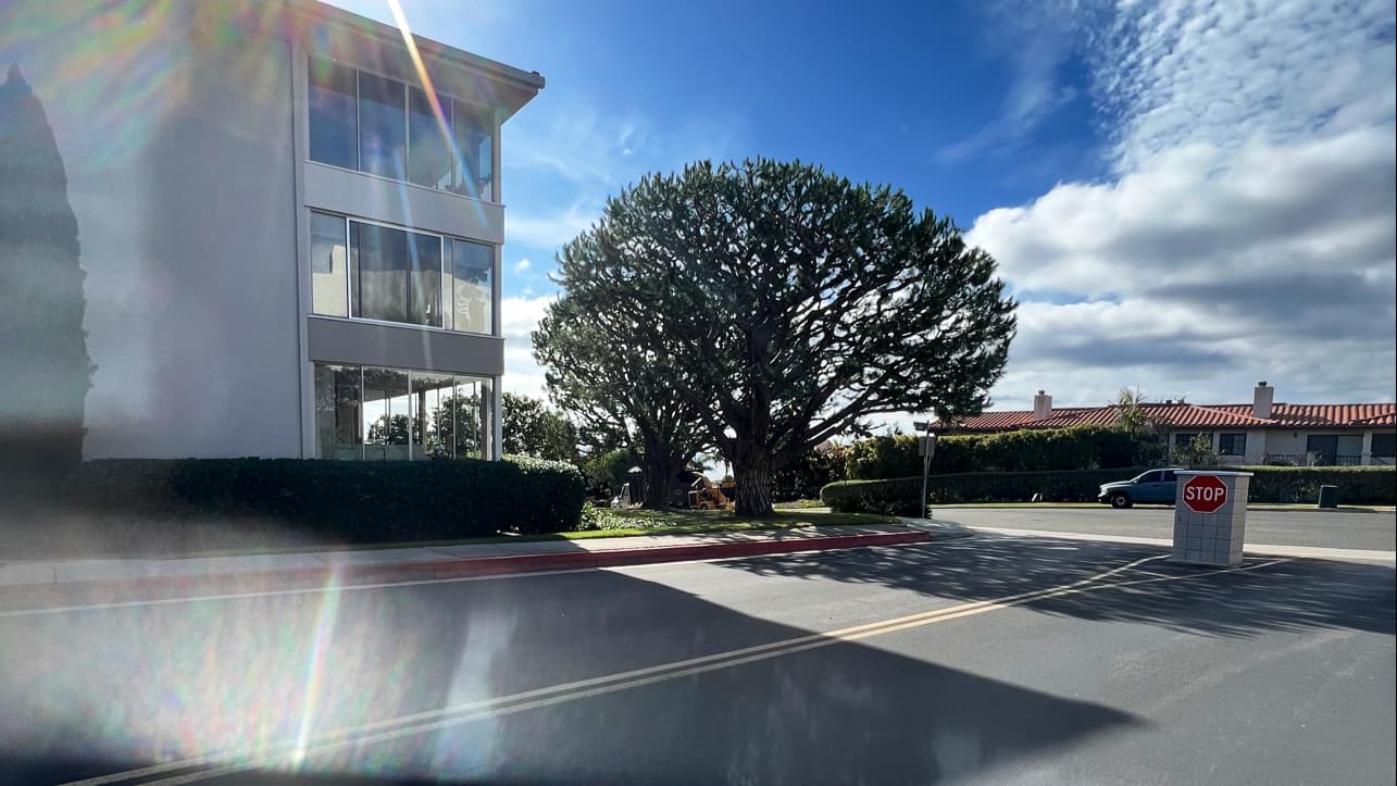 REYNOSO TREE SERVICE LLC- Reliable Tree Service - Hawthorne