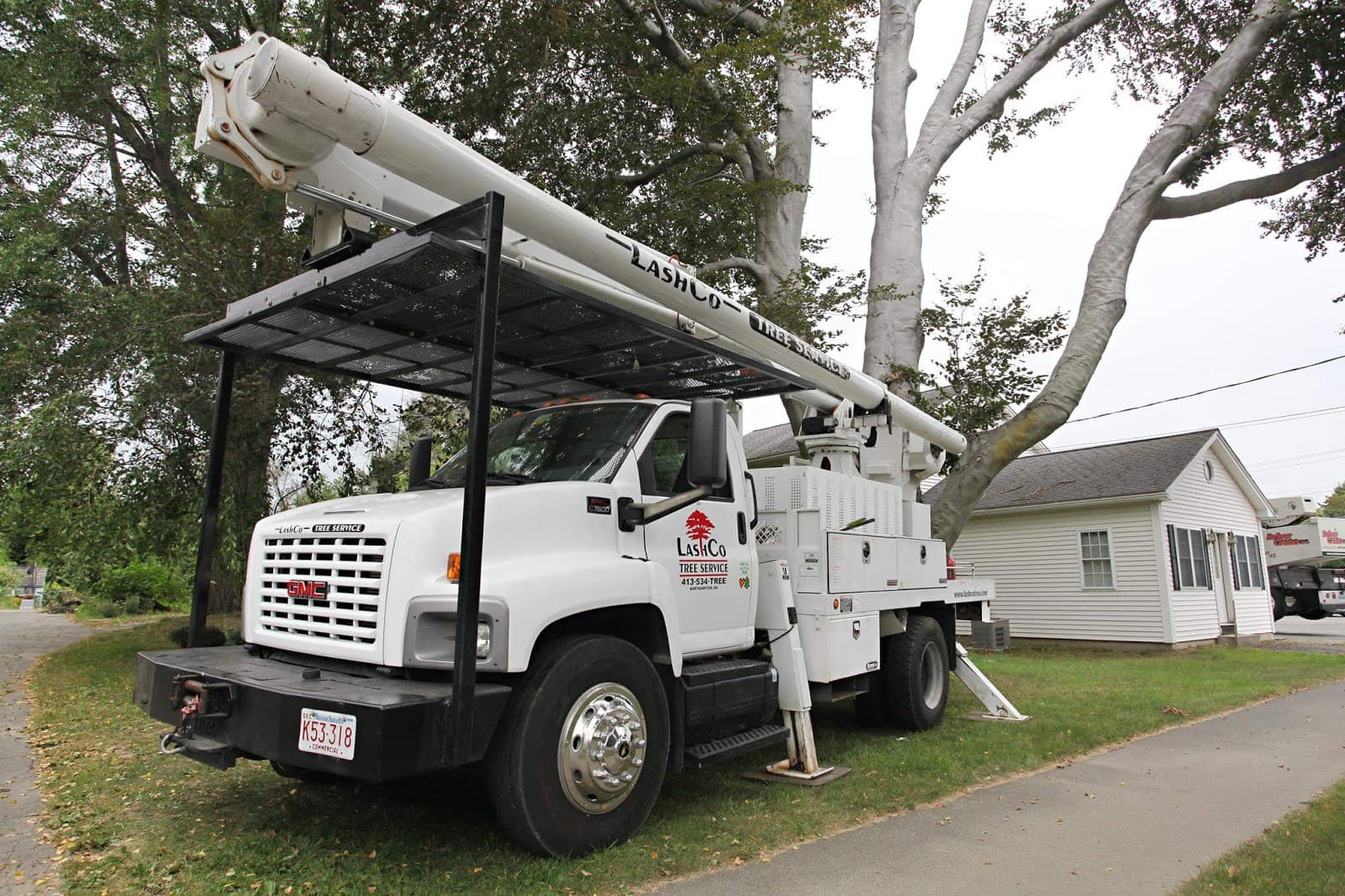 Lashco Tree Service LLC