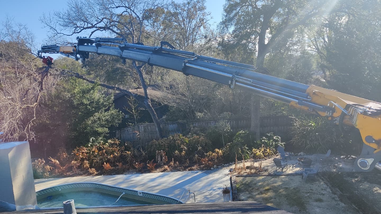 Always Trimming Tree Specialists LLC