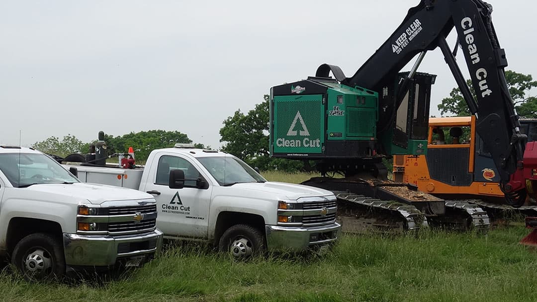 Clean Cut Tree Service, Inc.