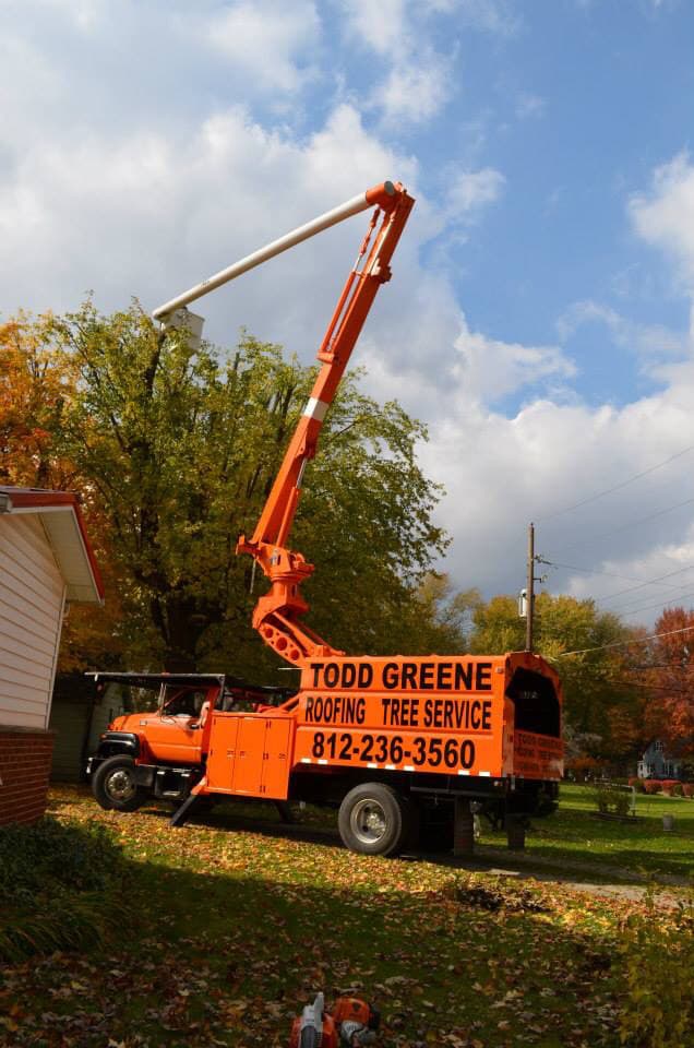 Todd Greene Tree Service
