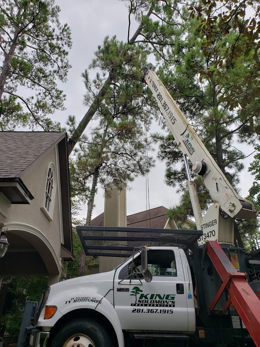 King Solomon's Tree Service