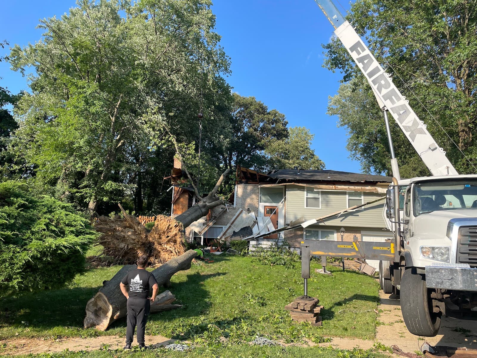 MTS-Pro Tree Service & Landscaping LLC