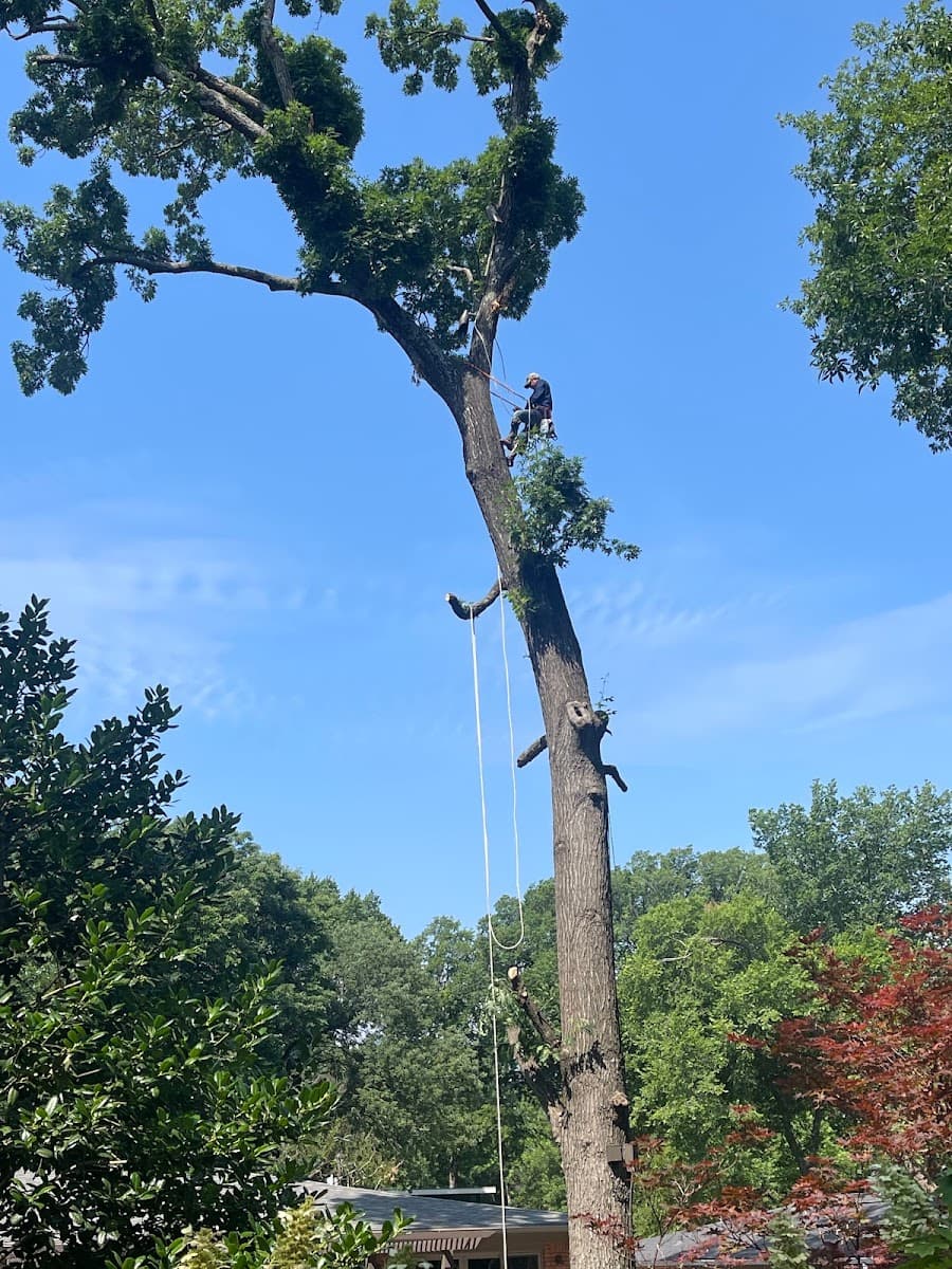Metroplex Tree Service