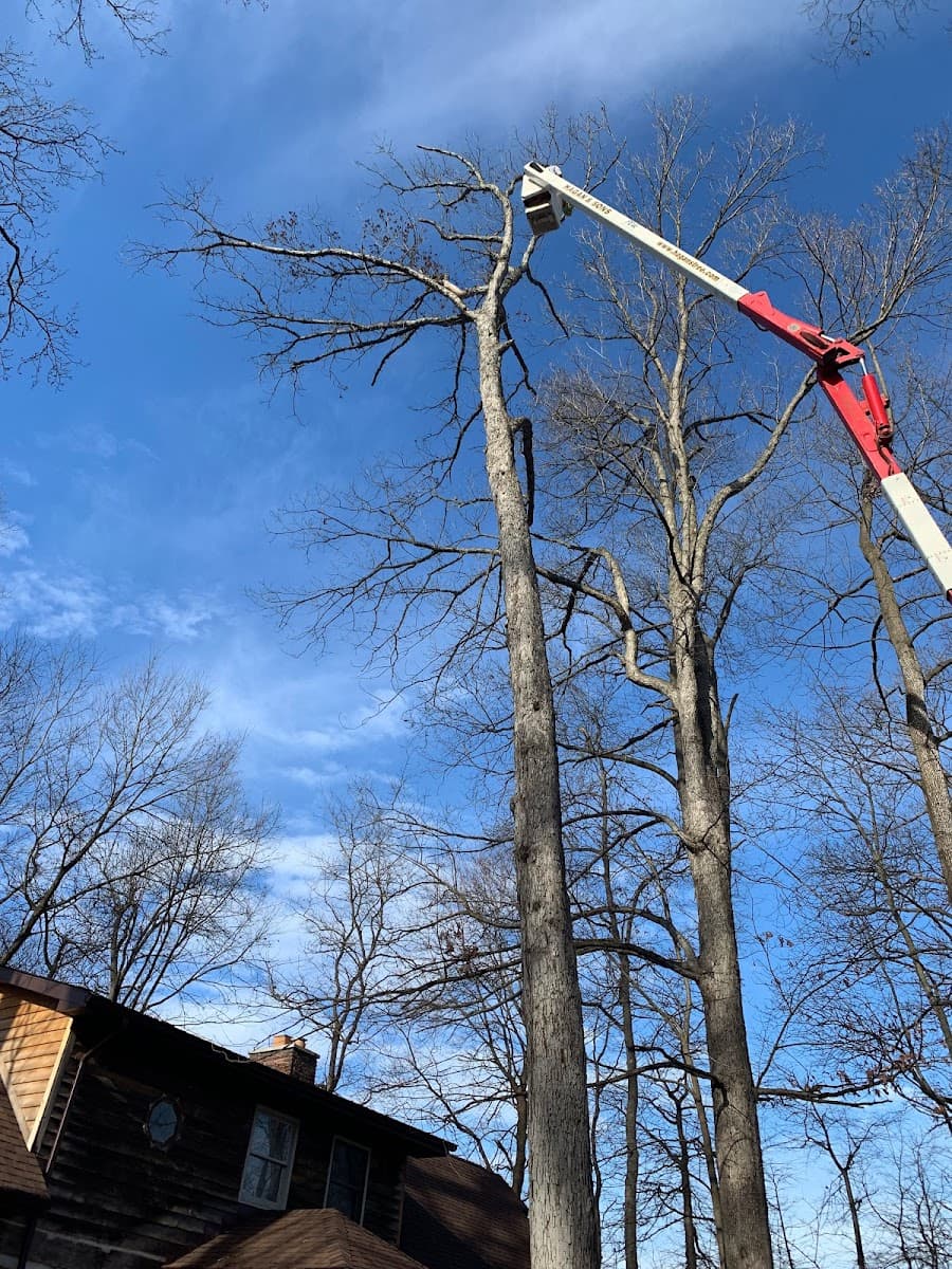 Hagan & Sons Tree Service