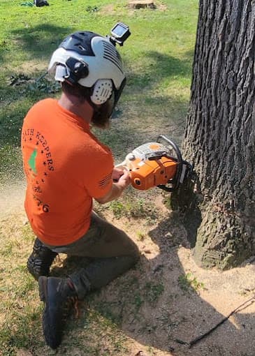 Oathkeepers tree care