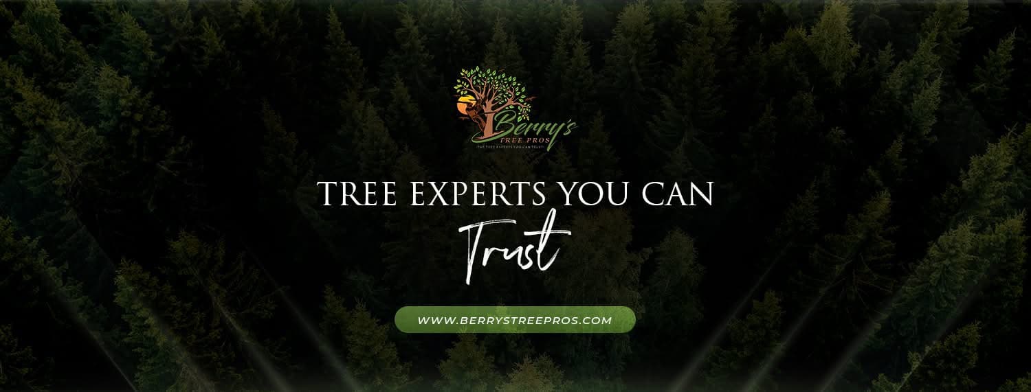 Berry's Tree Pros