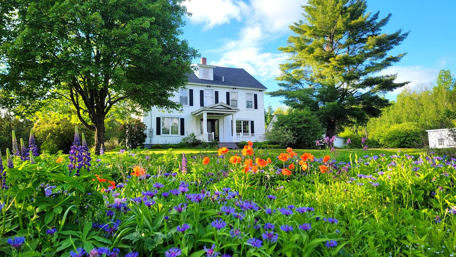 Flat Fee Plowing & Property Services