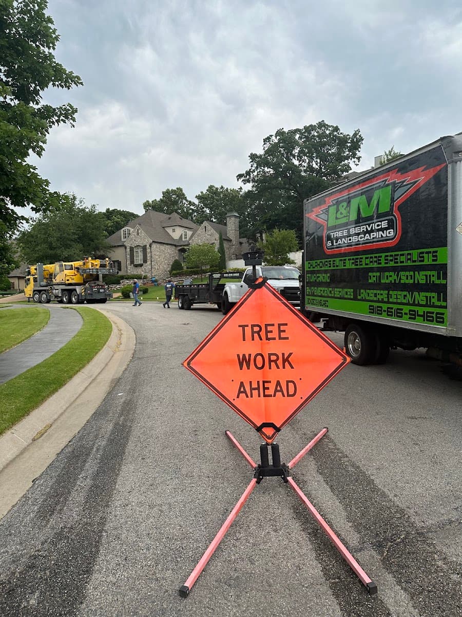 L&M Tree Service