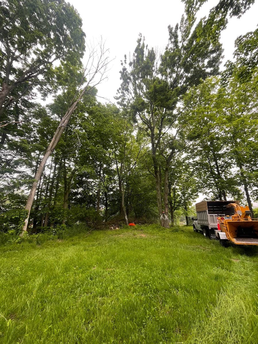 Pine Ridge Tree service