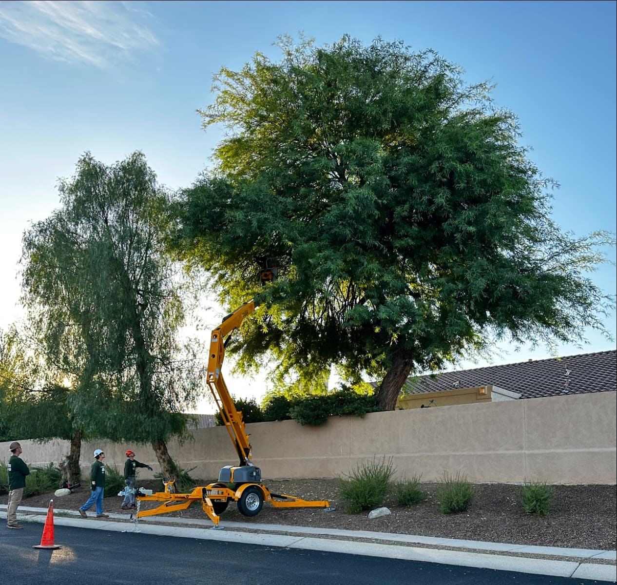 Transformed Trees & Landscaping LLC