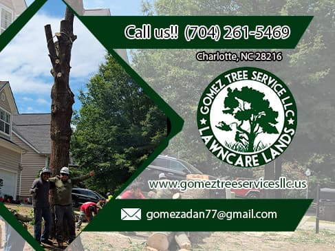 Gomez Tree Service