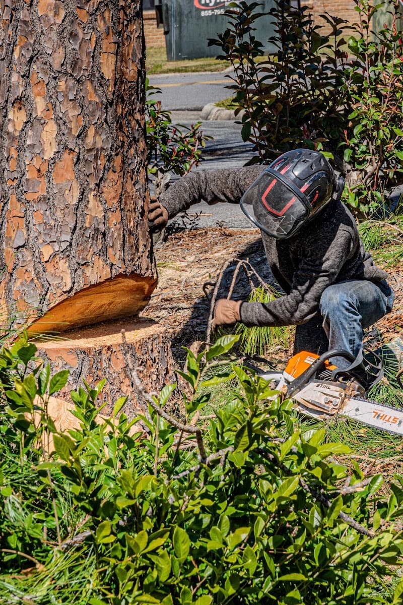 Allen's Tree Service
