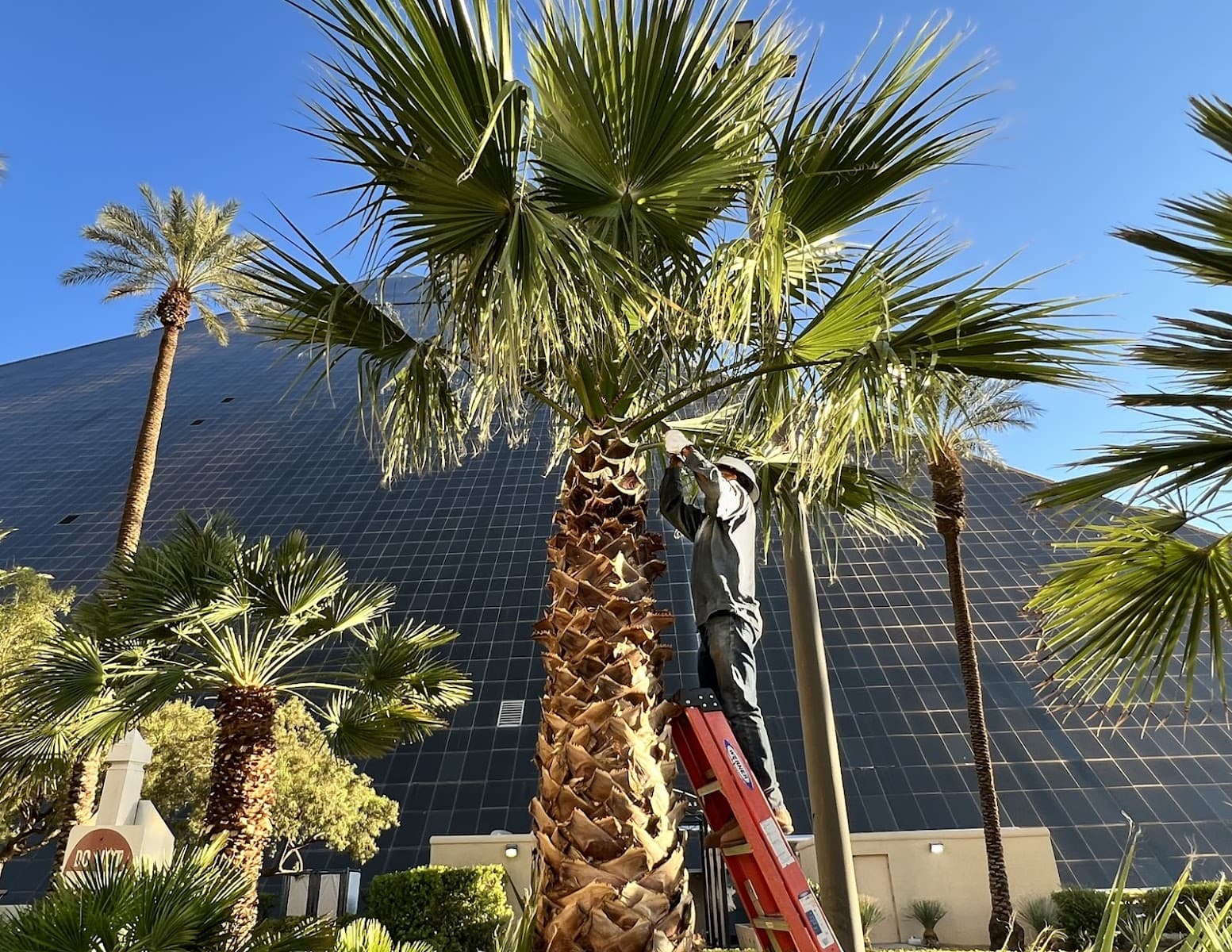 First Choice Tree Service