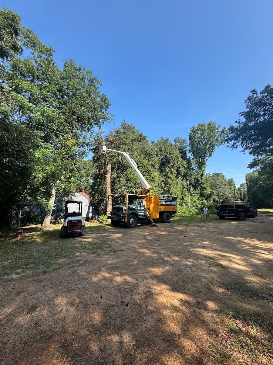 Seth's Tree Trimming and Removal LLC