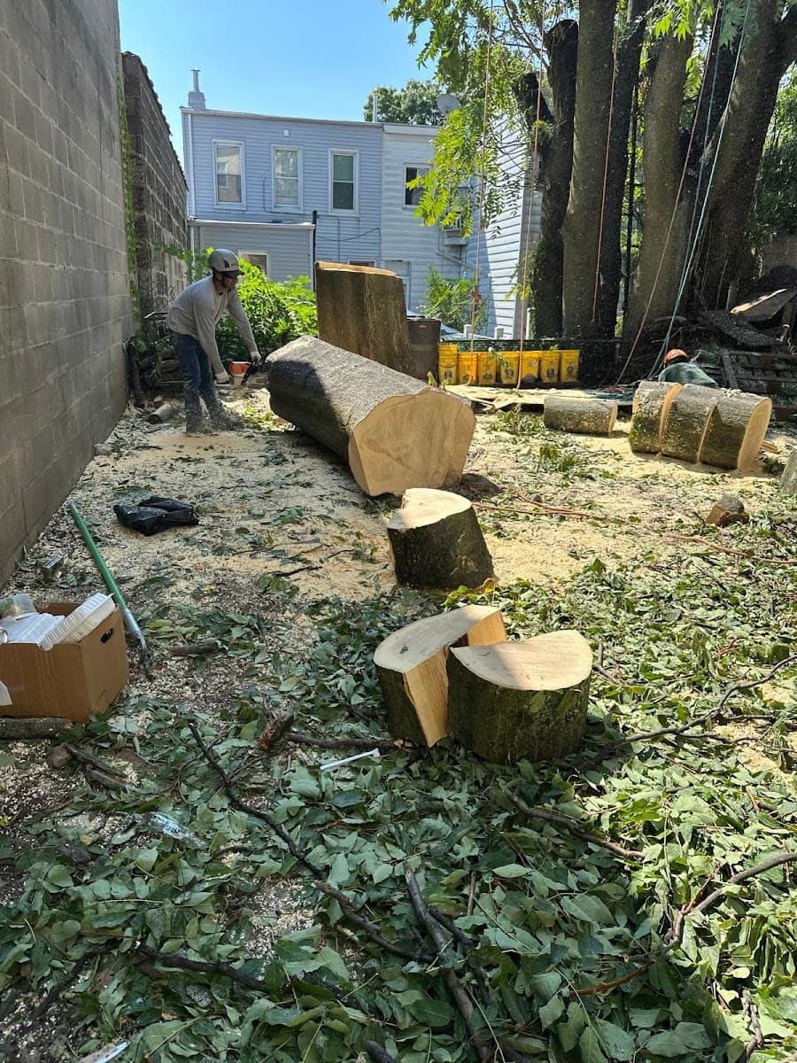 FCM TREE SERVICES LLC