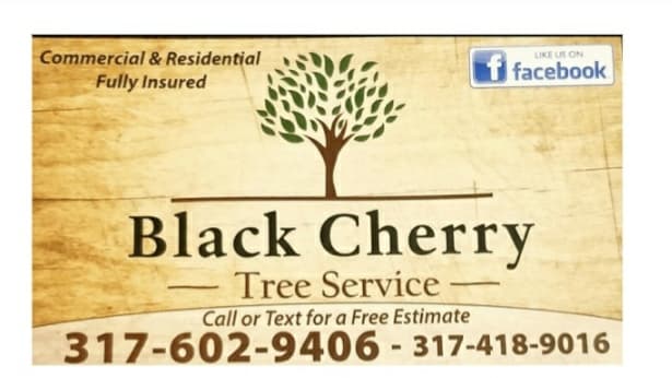 Black Cherry Tree Service