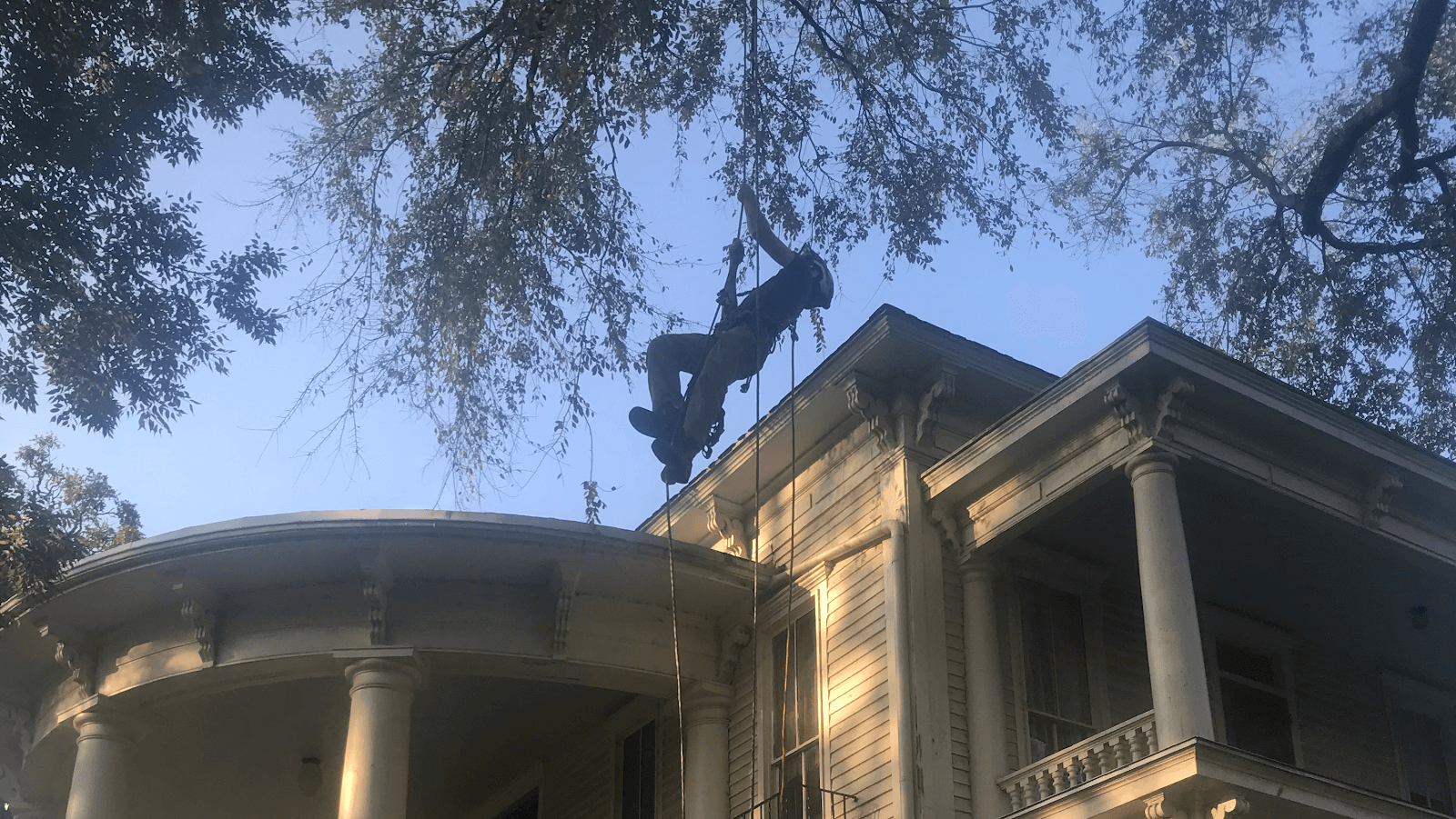 Sunnybrook Tree Service