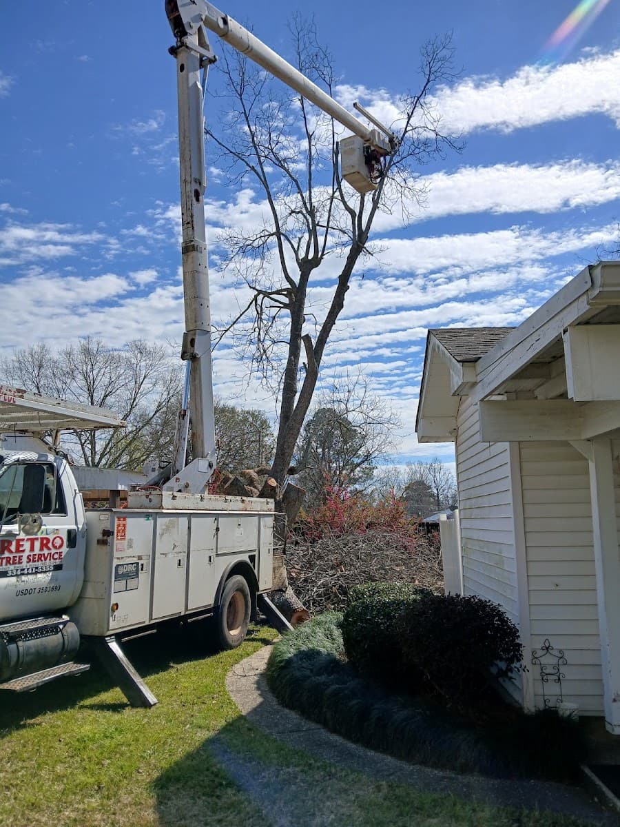 Retro Tree Service