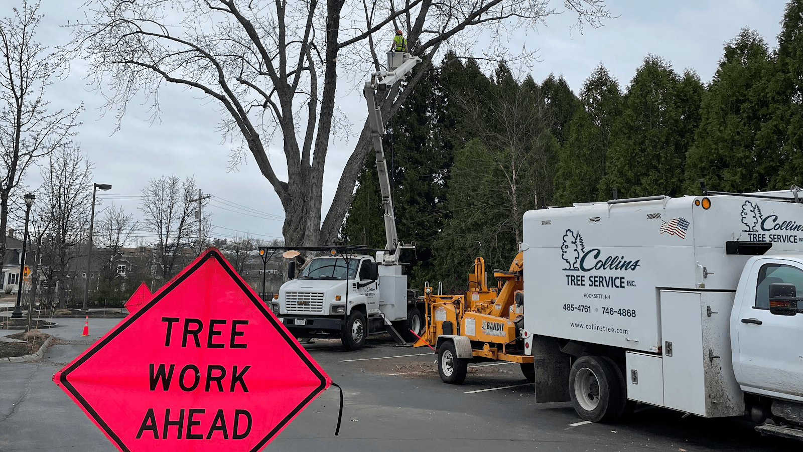 Collins Tree Service Inc