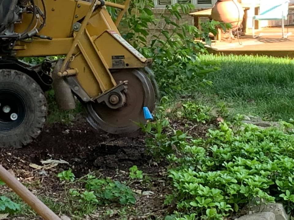 Anthony Hughes Tree & Stump Grinding