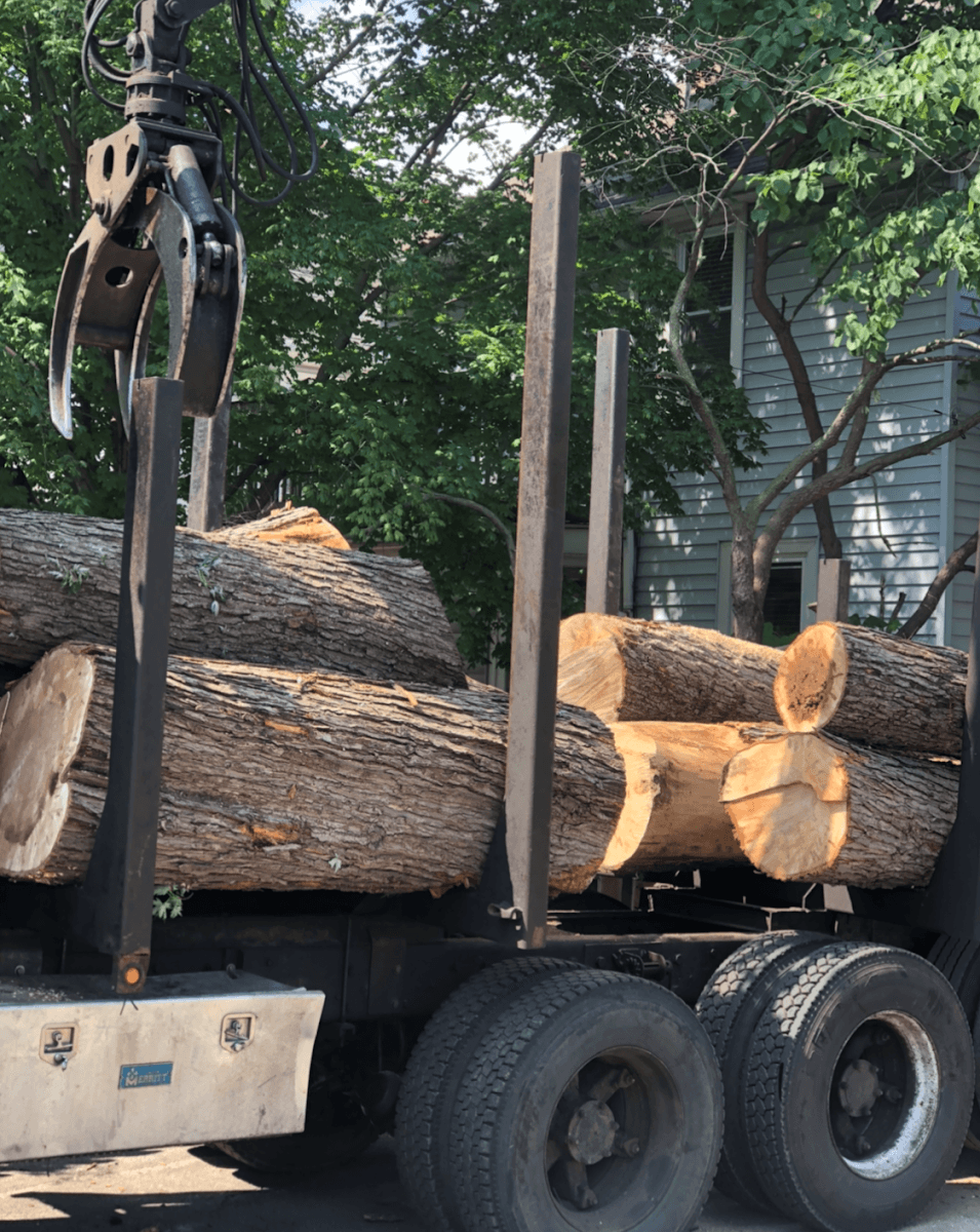 Hall Brothers Tree Services