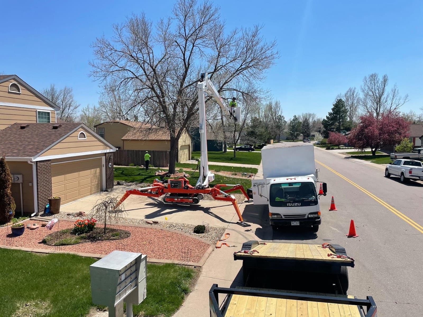 Lumber Jack & Jill Tree Service