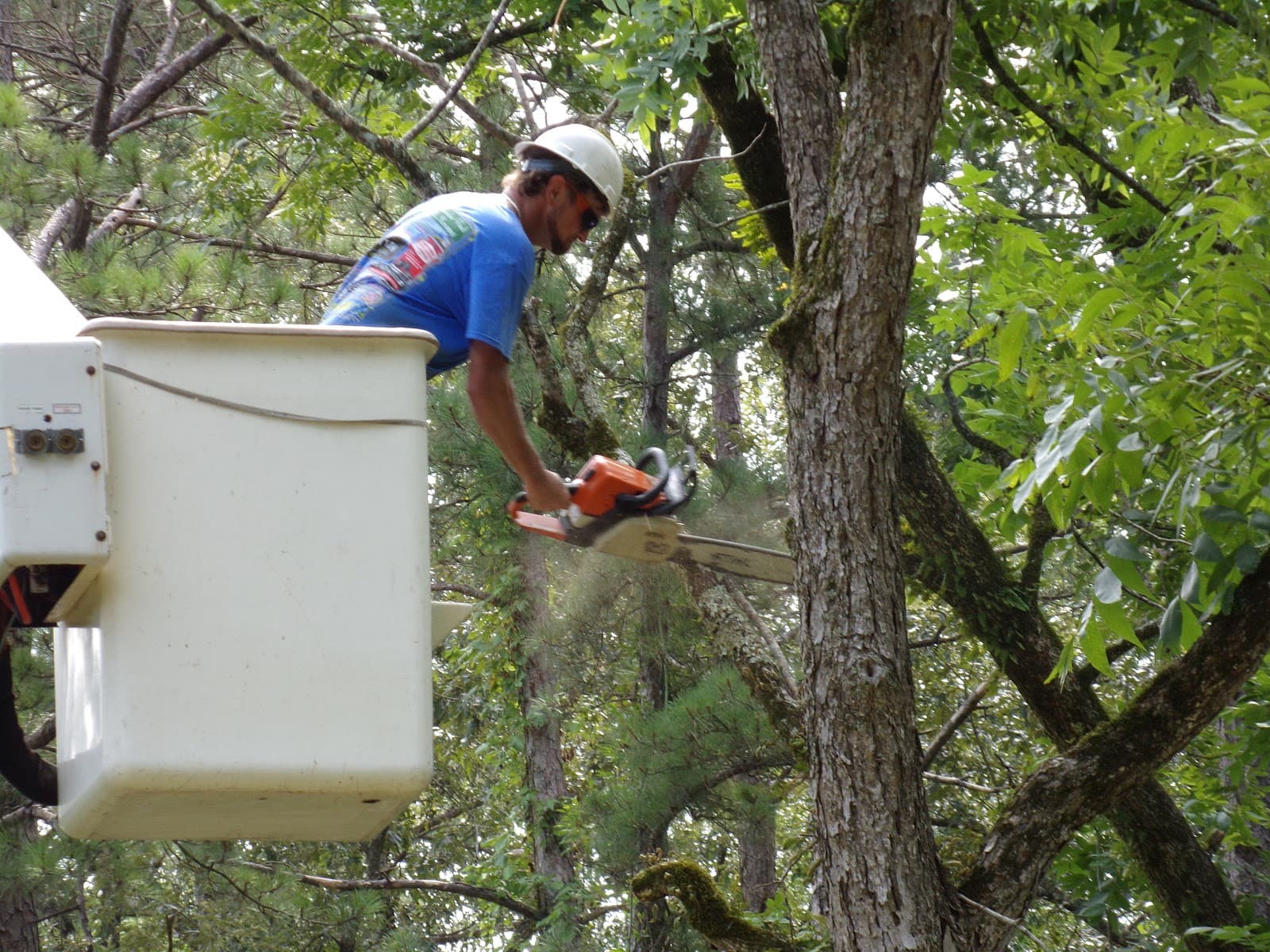 Womack's Tree Service