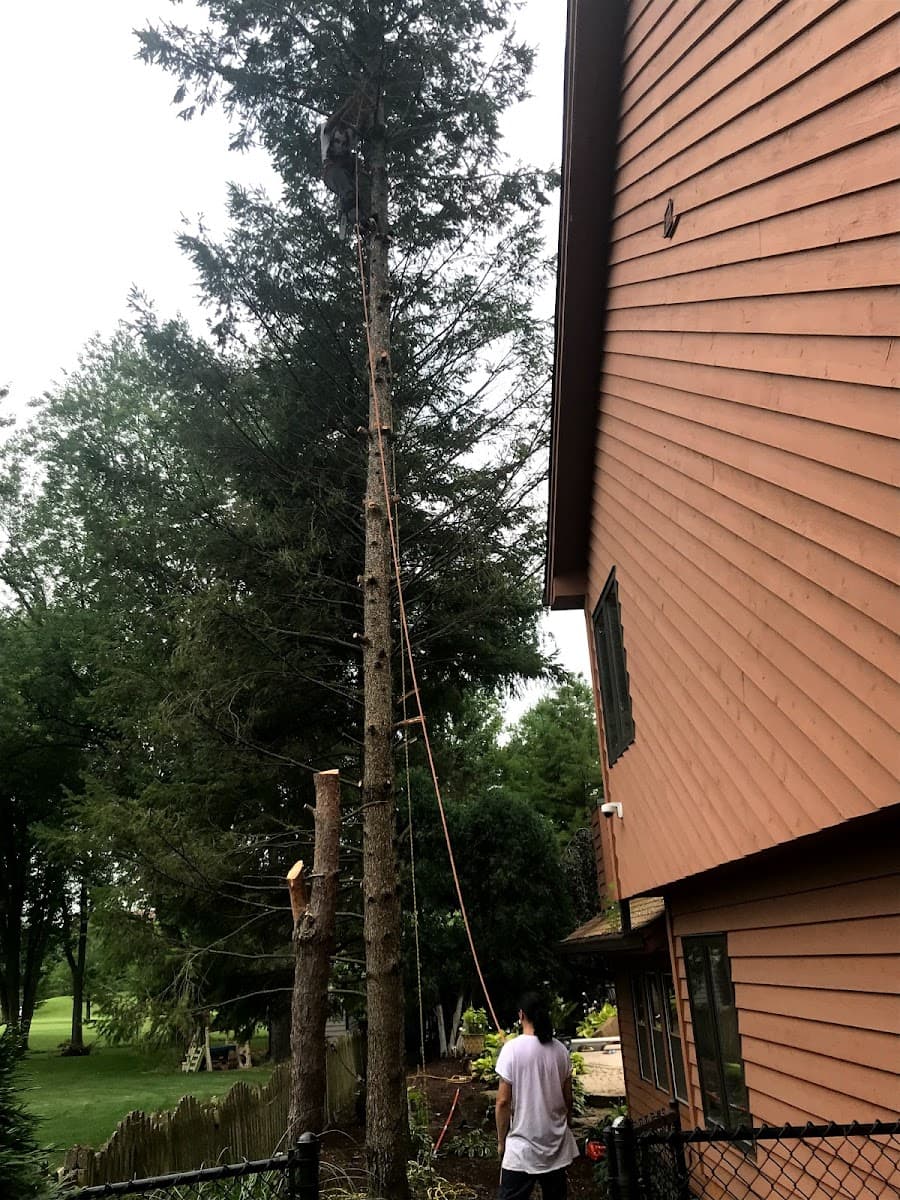 M&RG Tree Service Inc.