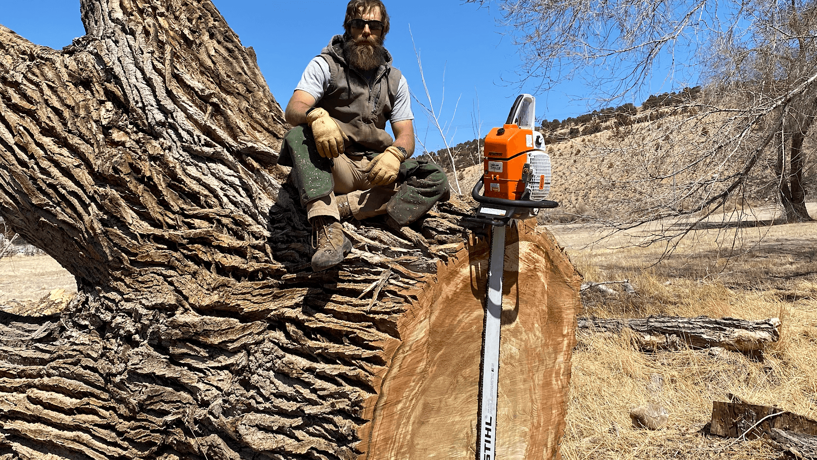 Lifetime Tree Service LLC