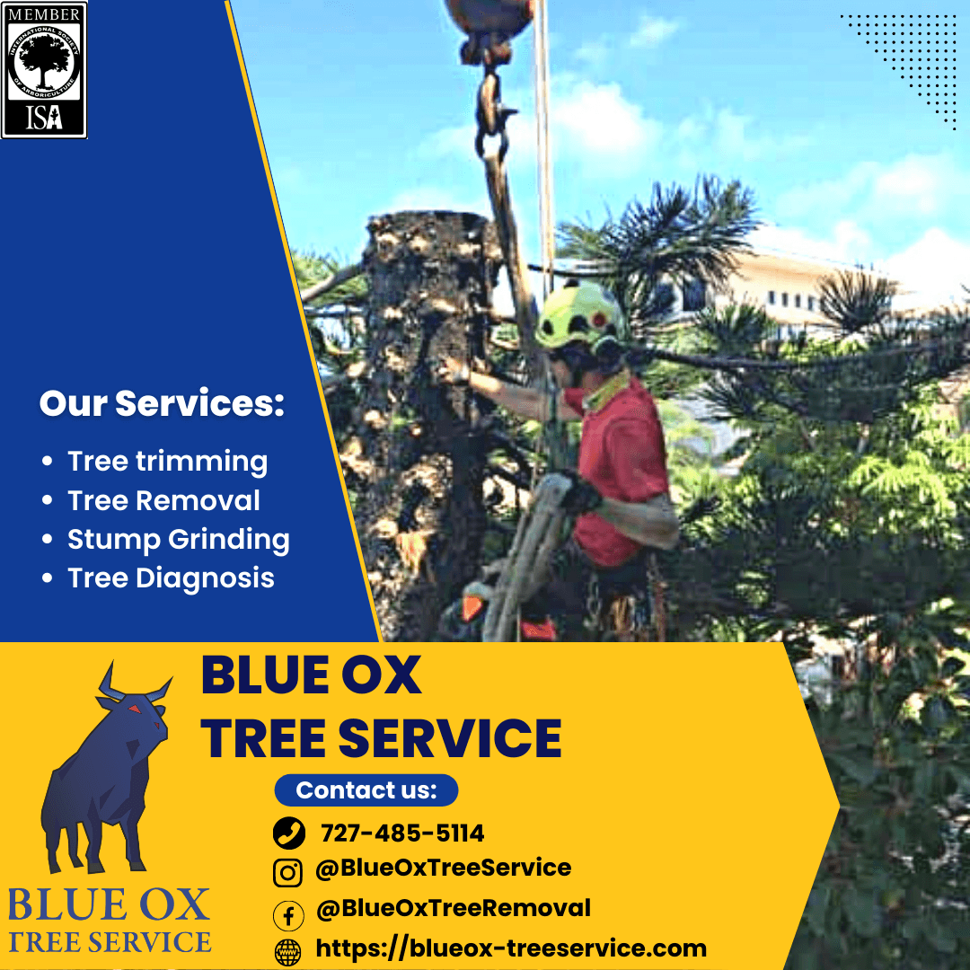 Blue Ox Tree Service