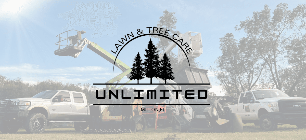 Unlimited Lawn and Tree Care