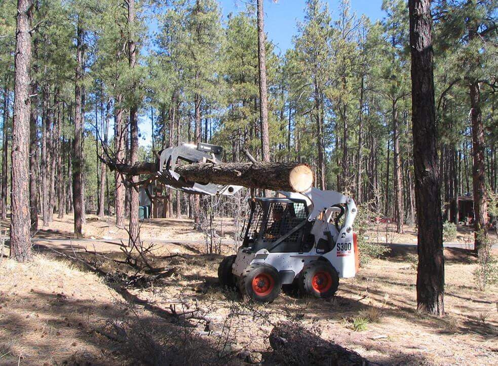 Bob Lee & Sons Tree Service