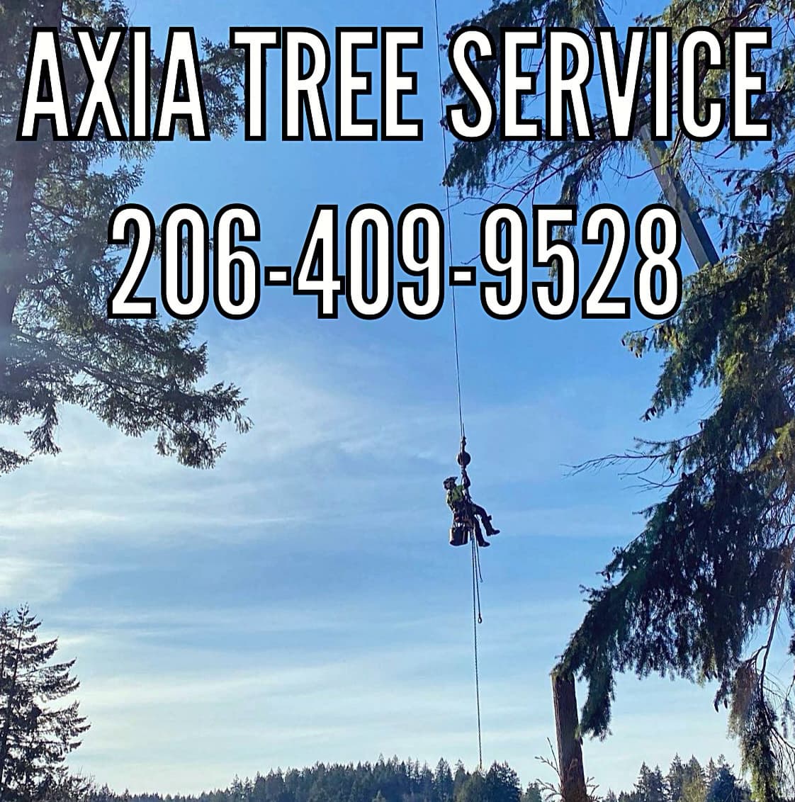 Axia Tree Service | Arborist in Lakebay and Gig Harbor, Washington