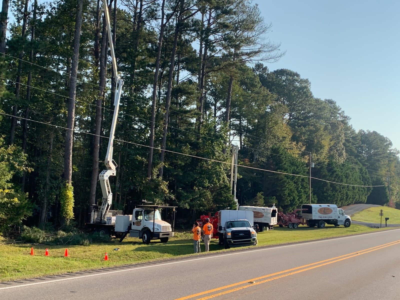 Wc Timber & Tree Services