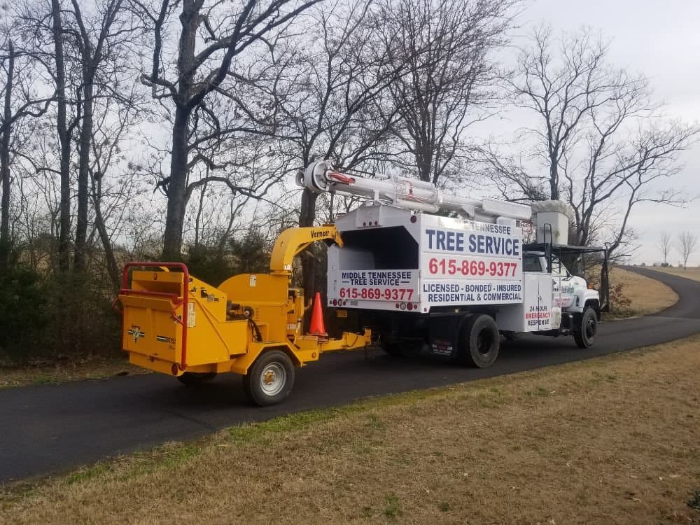 Middle Tennessee Tree Service LLC
