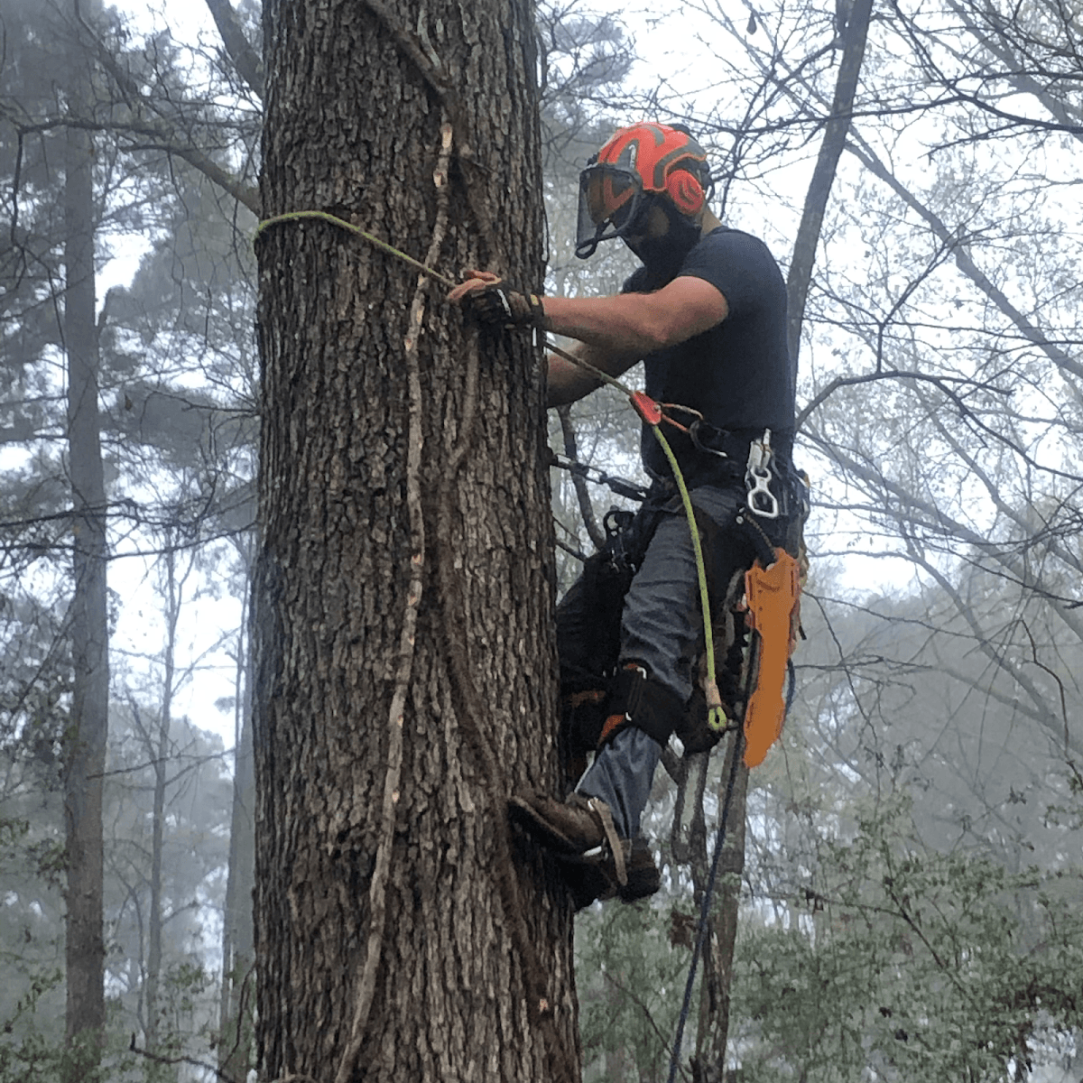 A-A Tree Service