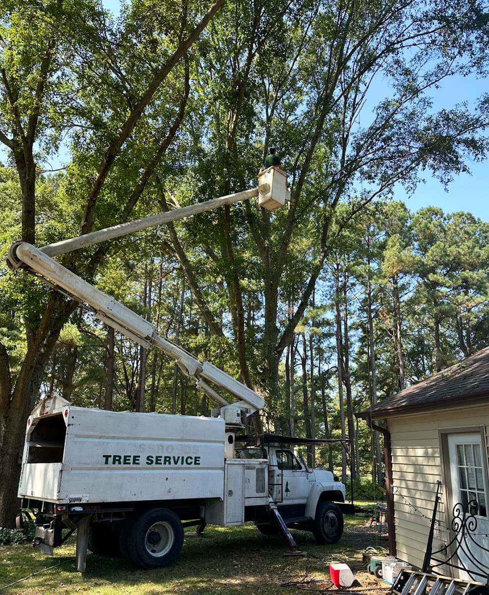 Pete’s Tree Service