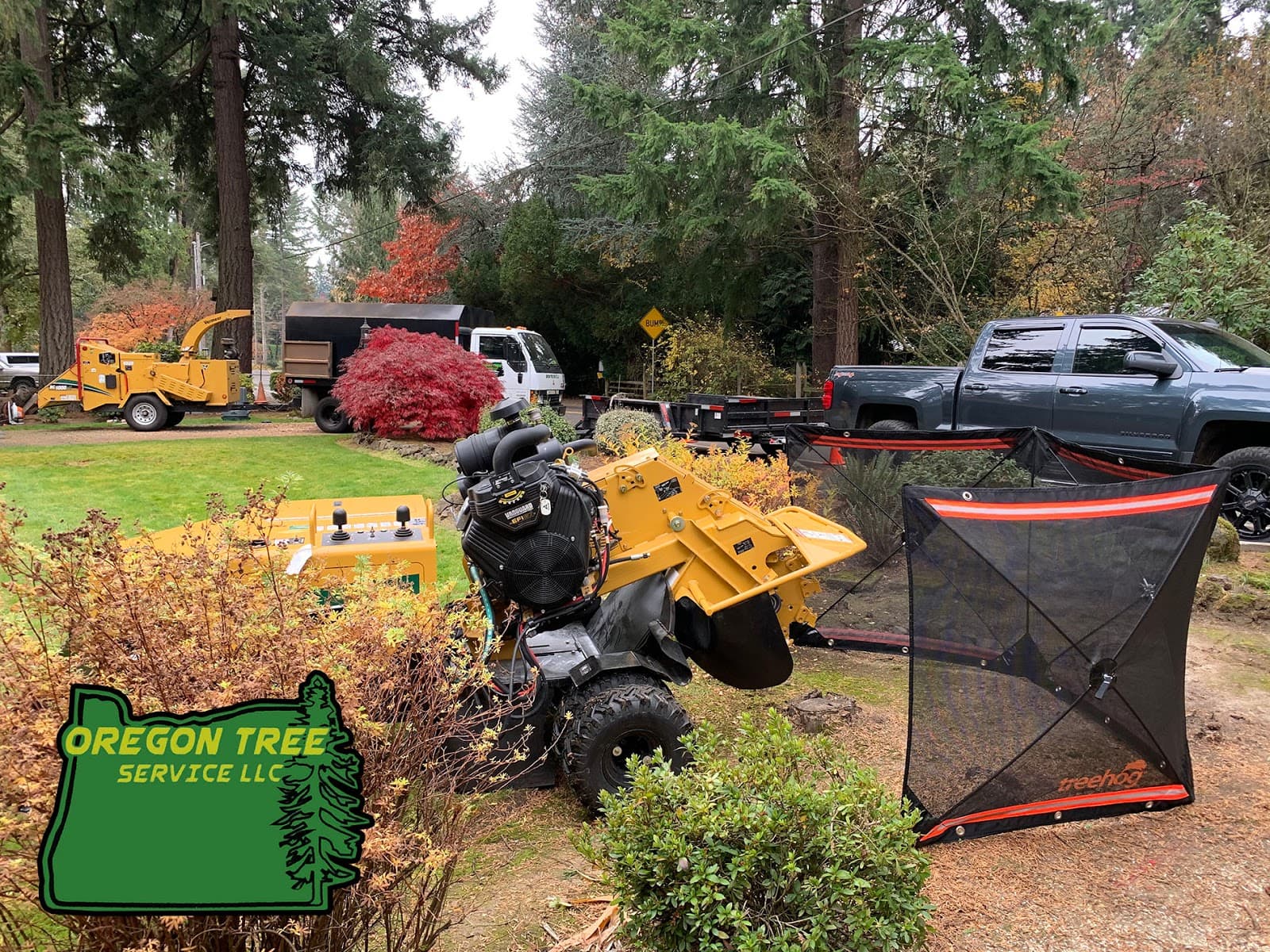 Oregon Tree Service