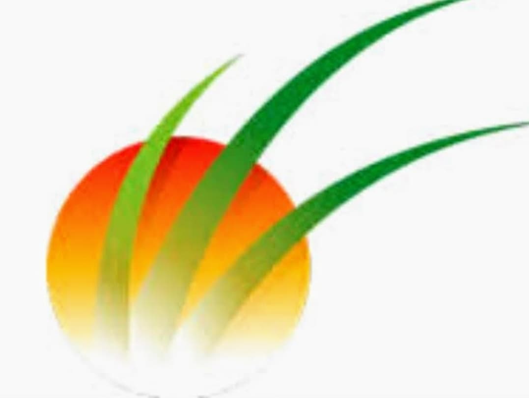 Sunworks Tree Services