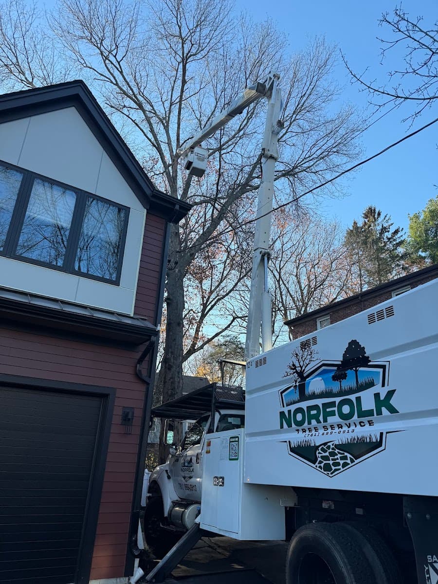 Norfolk Tree Service, LLC