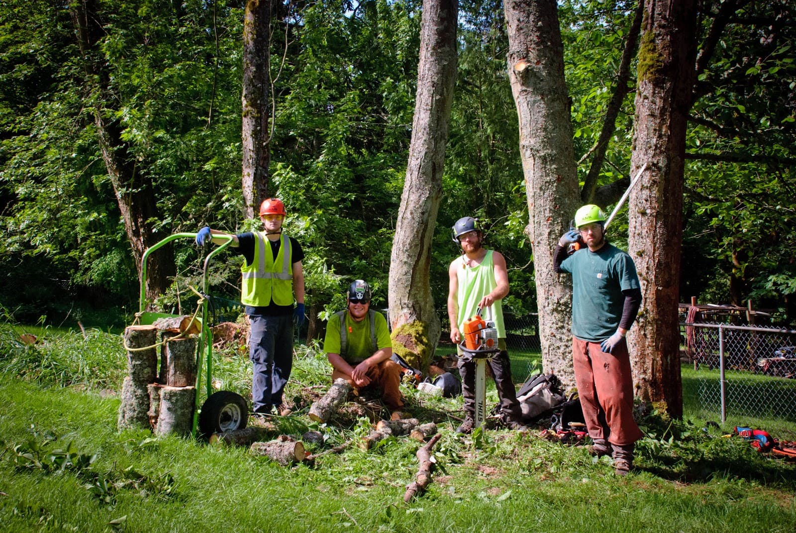 Blue Ribbon Tree & Landscape Specialists