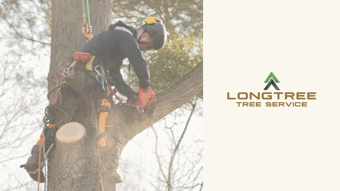 Longtree Tree Service