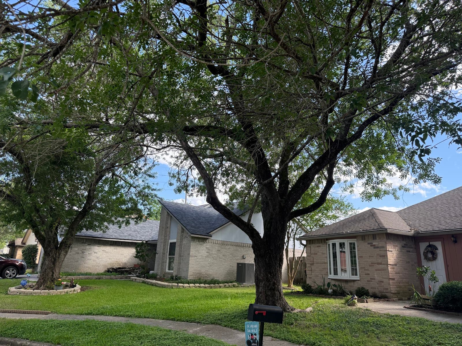 Affordable Tree Service