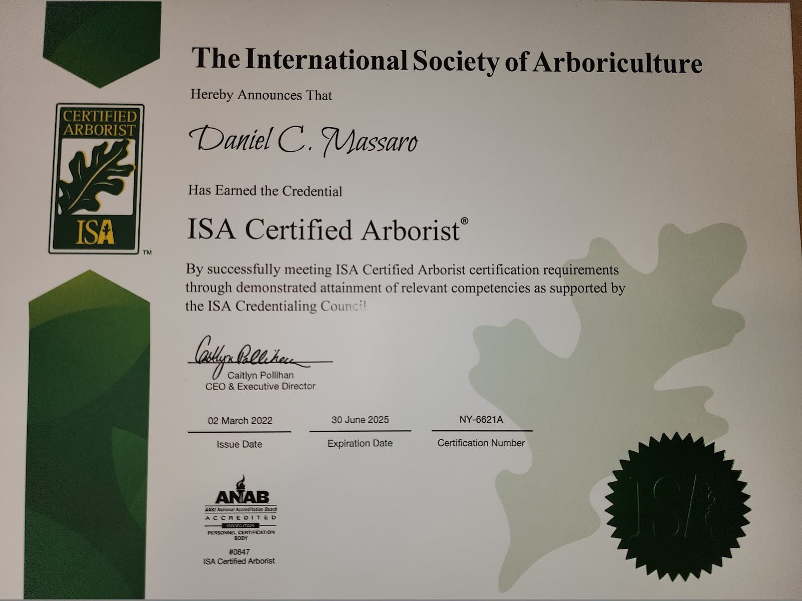 Off The Top Tree Service