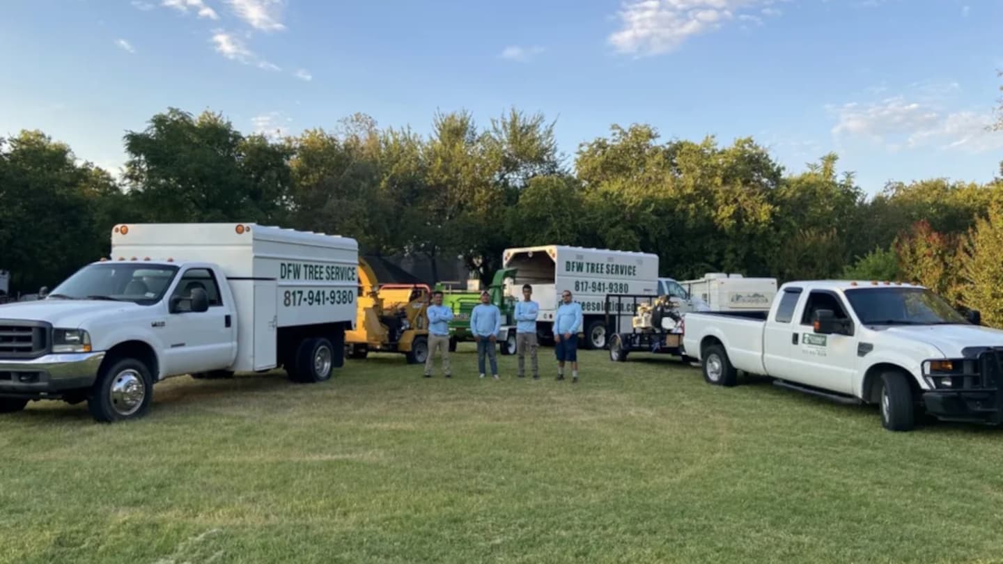 DFW Tree Solution